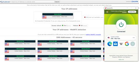 browser leaks|My IP Address